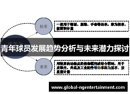 青年球员发展趋势分析与未来潜力探讨 青年球员发展趋势分析与未来潜力探讨