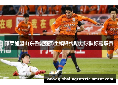 佩莱加盟山东鲁能强势坐镇锋线助力球队称霸联赛